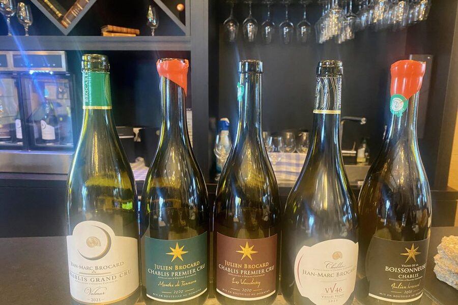 15 Burgundy Wines Chateau Pommard, Chablis Small-Group - Who should book this experience?