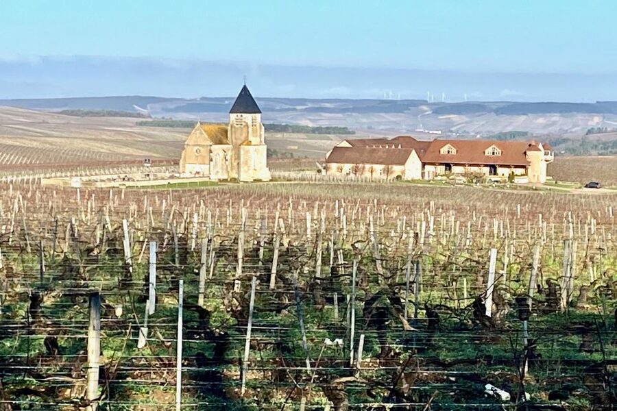 15 Burgundy Wines Chateau Pommard, Chablis Small-Group - What this Burgundy wine day is really about