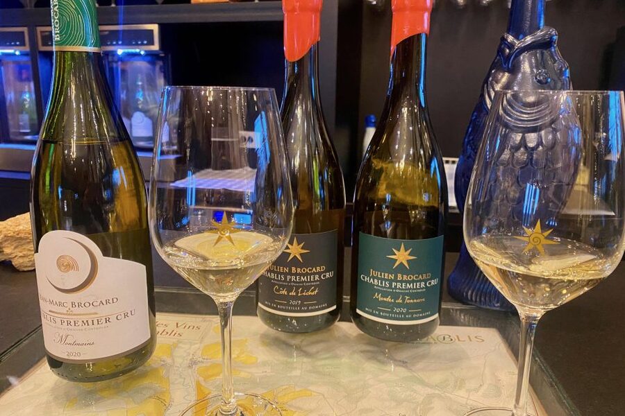 15 Burgundy Wines Chateau Pommard, Chablis Small-Group - Château de Pommard and the afternoon tasting