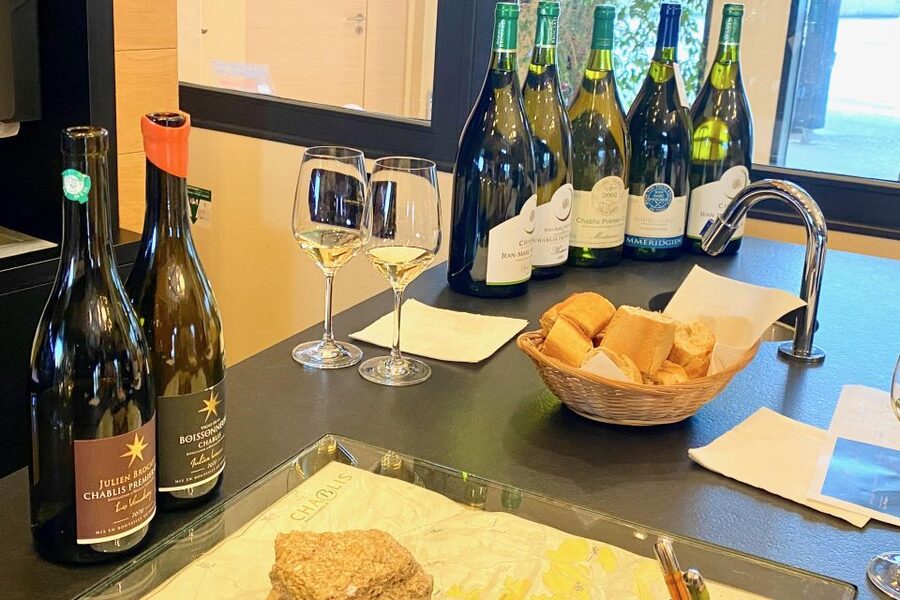 15 Burgundy Wines Chateau Pommard, Chablis Small-Group - The long return to Paris