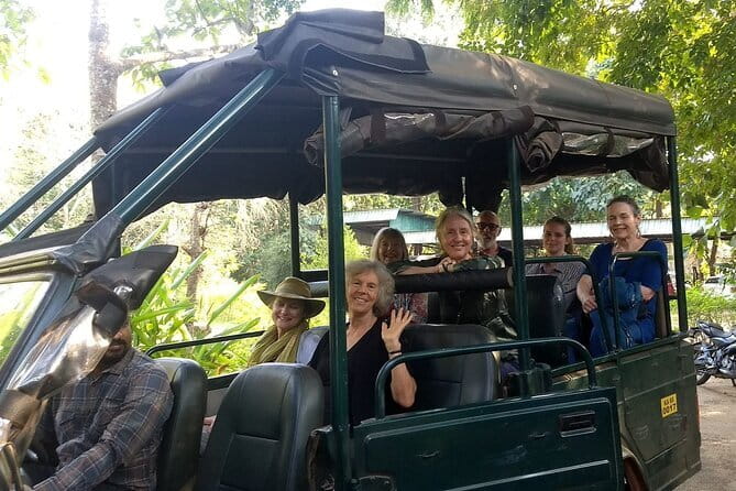2 Day Bandipur Safari and Mysore Palace Tour - Why Bandipur makes a strong two-day escape from Bengaluru