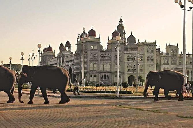 2 Day Bandipur Safari and Mysore Palace Tour - The three-hour return to Bengaluru