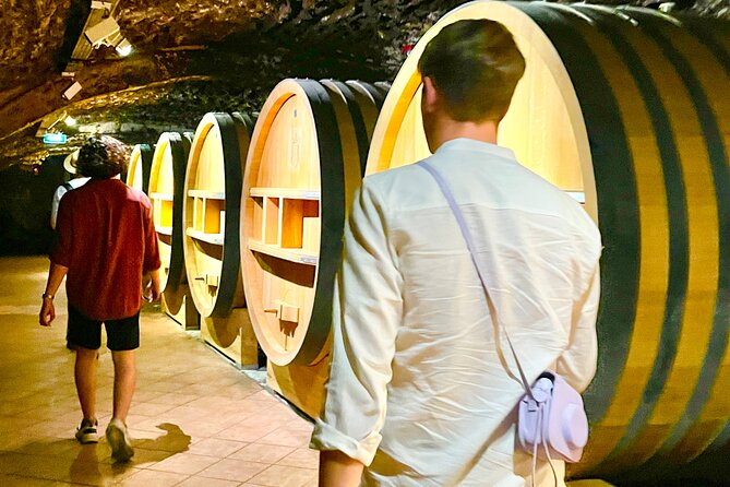 3 hours of Tour in the Wines of Châteauneuf-du-Pape - The tour’s limits are worth planning around
