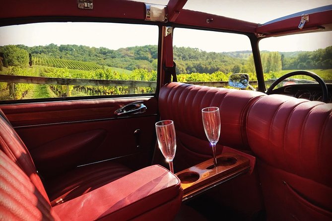 3H private city tour of Bordeaux and vineyard in a Citroën DS - From the city to Pessac-Léognan