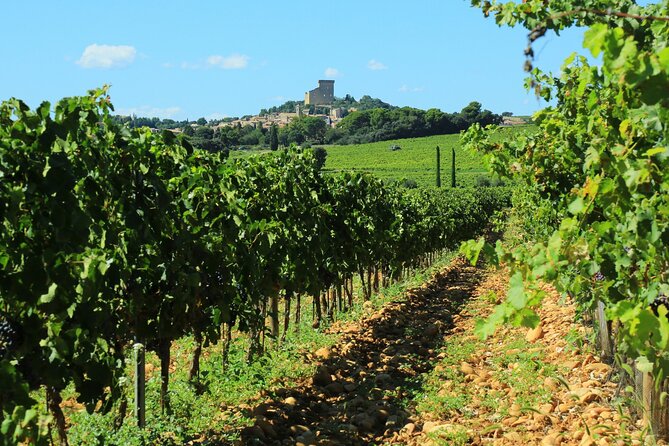 8 Hours Group Tour in Châteauneuf du Pape - Why this Châteauneuf-du-Pape day works