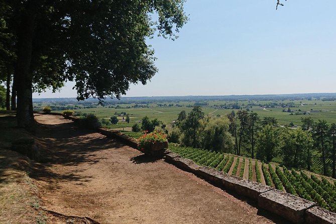 A day in Saint-Émilion and its Châteaux in a private tour (Van Luxe) - Lunch at La Terrasse Rouge