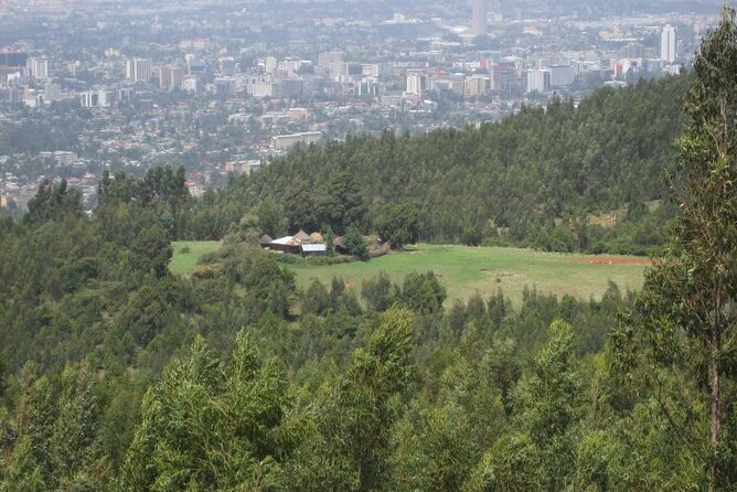 Addis Ababa +Mount Entoto View Point,Museums Palace Market Tours - Monuments that bring harder history into view