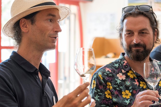 Afternoon Wine Tour to Chateauneuf du Pape from Avignon - How the guides shape the afternoon