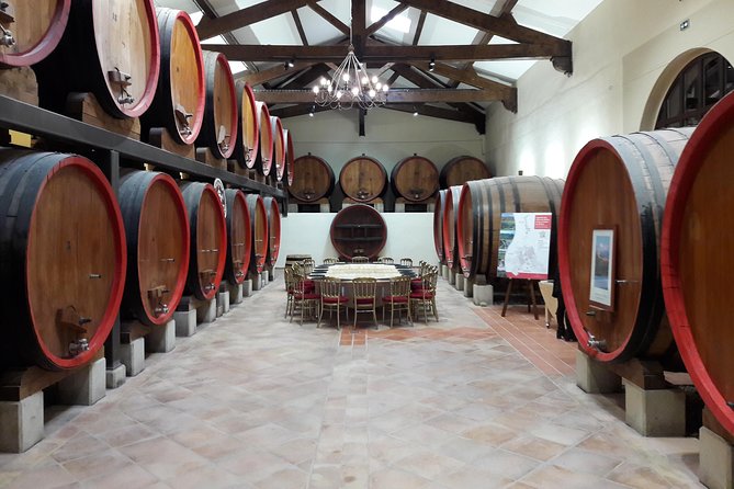 Afternoon Wine Tour to Chateauneuf du Pape from Avignon - Who should book this Châteauneuf-du-Pape tour?