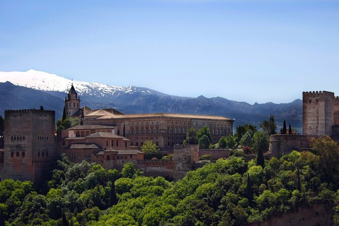 Alhambra, Generalife & Nasrid Palaces Guided Tour in Granada - The Nasrid Palaces are the main event