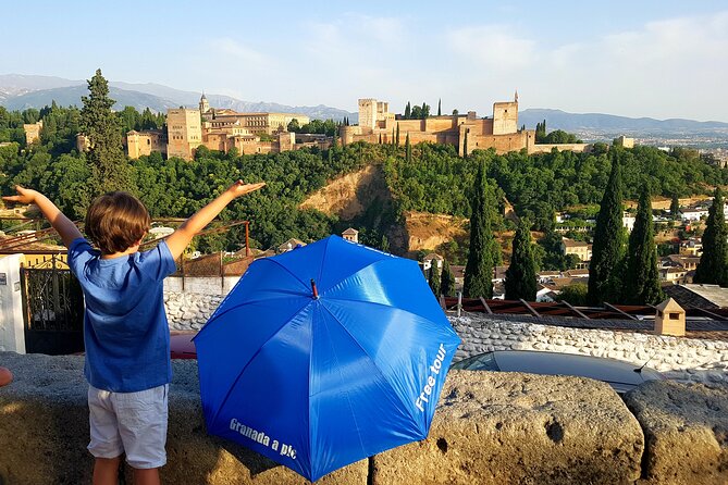 Alhambra, Generalife & Nasrid Palaces Guided Tour in Granada - Is $61.21 a fair price?