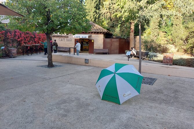 Alhambra Guided Tour, Nasrid Palaces and Generalife - Guide quality and the value of live explanation