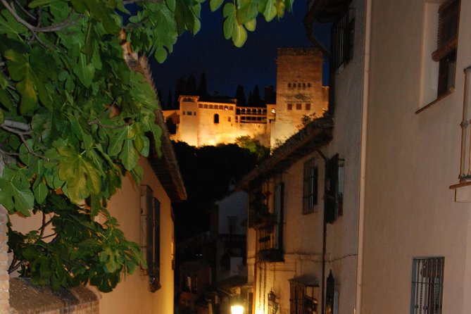 Alhambra: Night Visit to Nasrid Palaces - Price and value at $90.11