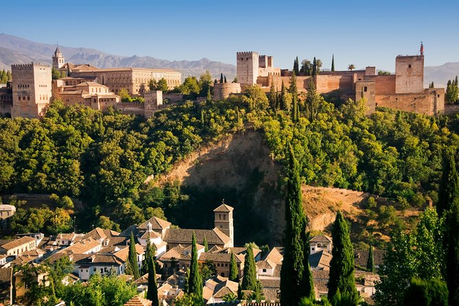 Alhambra Private/Small Group Tour & Nasrid Palaces Skip the Line - Why the Nasrid Palaces make this tour worth considering