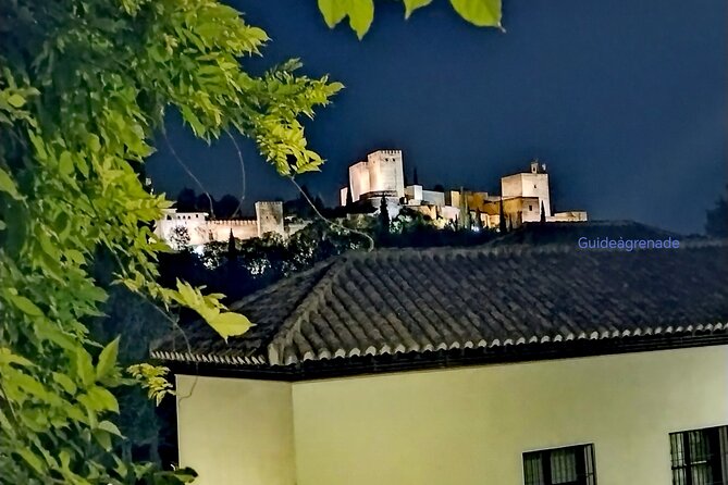 Alhambra Private Tour: Nasrid Palaces and Generalife - What to know before you book