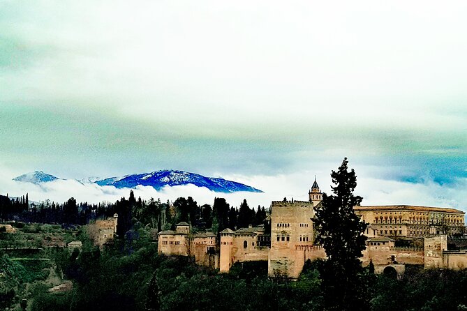 Alhambra Private Tour with Tickets to the Nasrid Palaces - Who will get the most from this visit?
