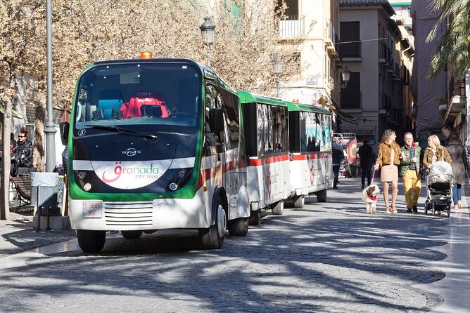 Alhambra tickets with Nasrid Palaces + Tourist Train - A self-guided visit, not a tour