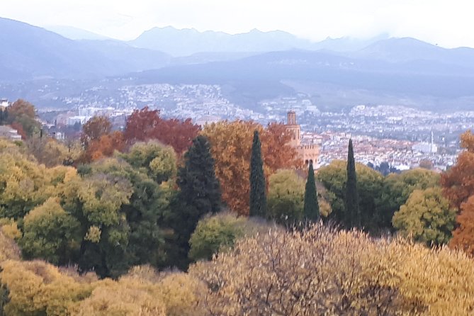 Alhambra Tour :Generalife Gardens ,Palaces and towers.Skiptheline - What this three-hour Alhambra visit actually covers