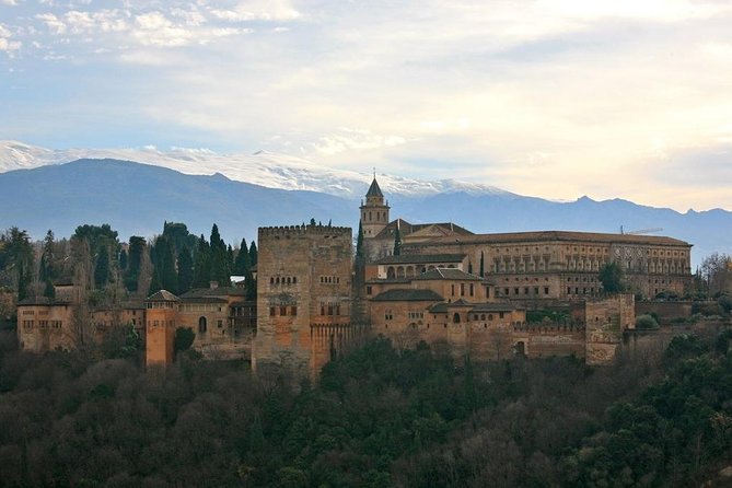 Alhambra Tour with Nasrid Palaces : Join a Group. Skip the line. - Walking through the Alhambra grounds