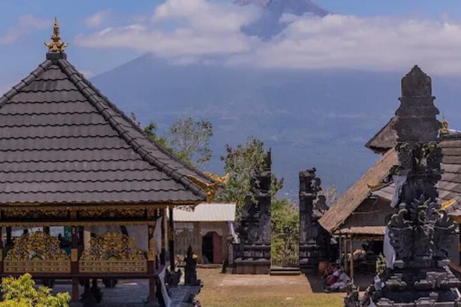 All Inclusives Bali Private Tour Temples Palaces and Nature - How the private format changes the day