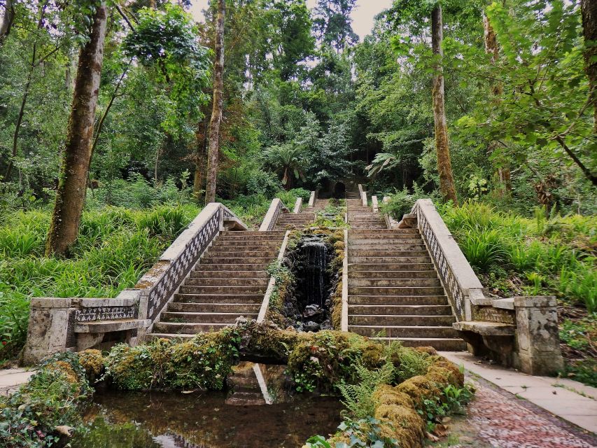 An adventure through the Forest and Palace of Bussaco - Coim - Should you book this forest and palace tour?