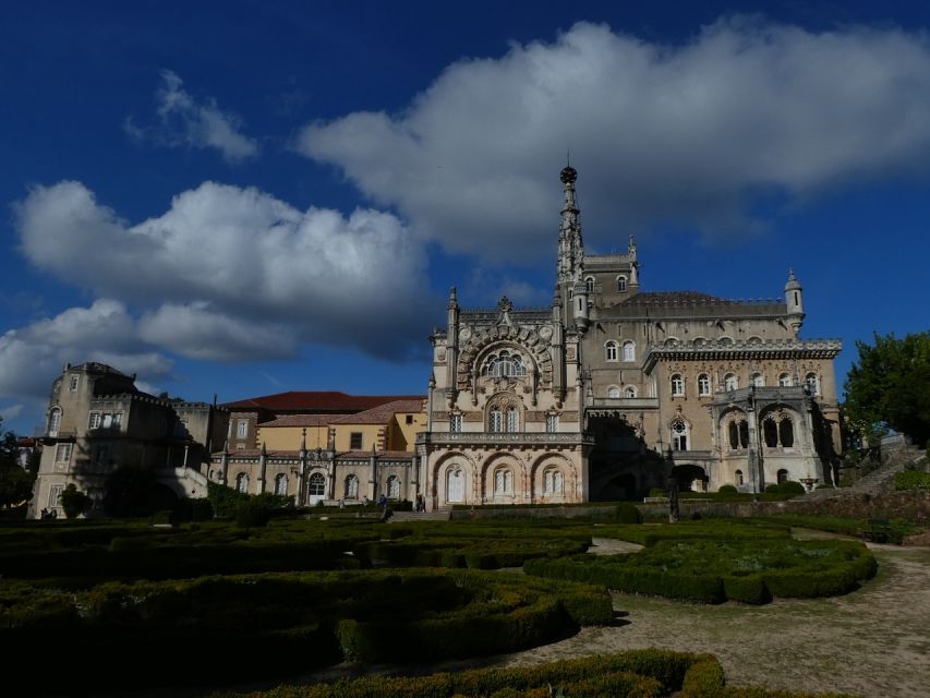 An adventure through the Forest and Palace of Bussaco - Coim - Why Bussaco Forest deserves four hours