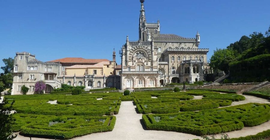 An adventure through the Forest and Palace of Bussaco - Coim - Walking into the old woodland