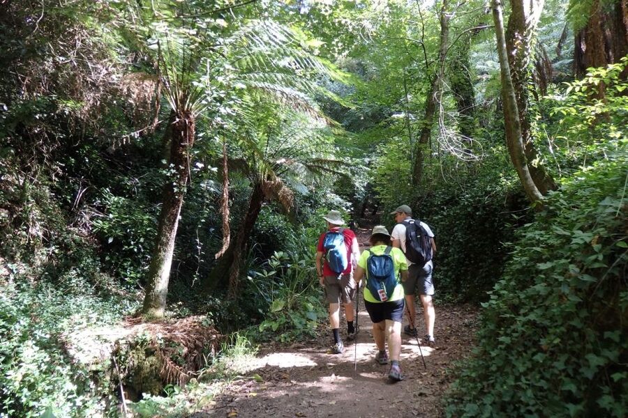 An adventure through the Forest and Palace of Bussaco - Coim - Learning what makes Bussaco different