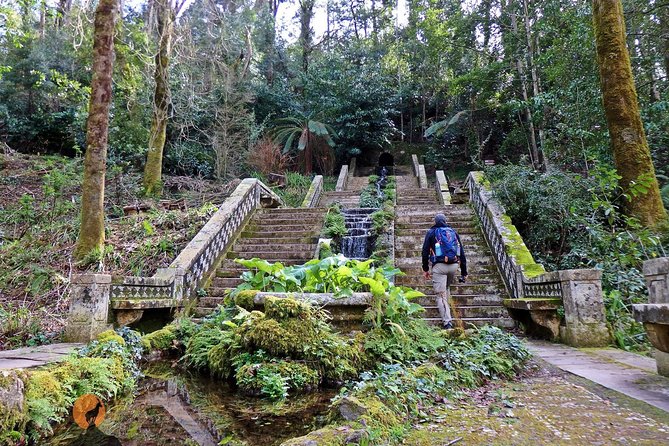 An adventure through the Forest and Palace of Bussaco - Coimbra - Key points at a glance