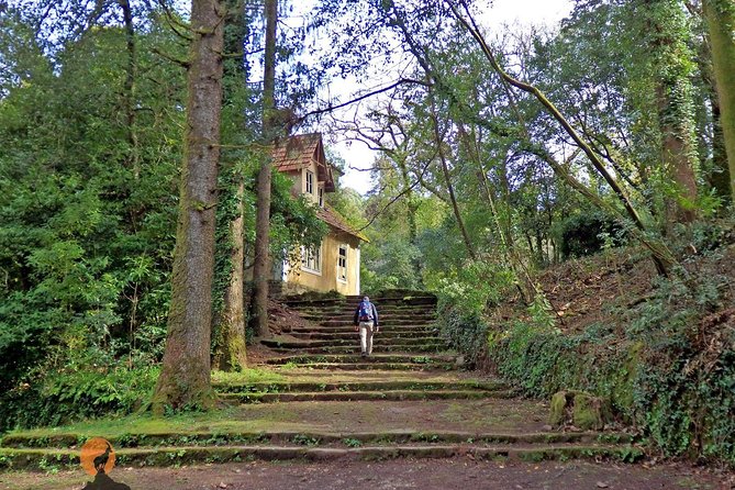 An adventure through the Forest and Palace of Bussaco - Coimbra - Who will enjoy this tour most