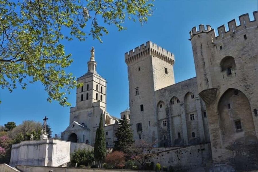 Avignon: Around The Palace Tour - A smart introduction to Avignon’s papal quarter