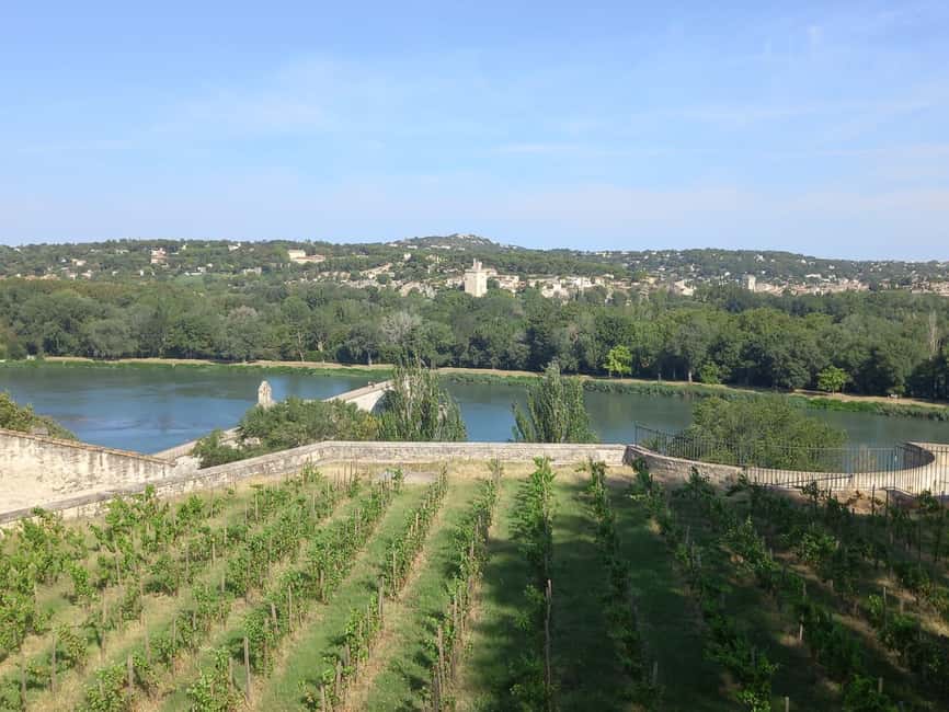 Avignon: City Walking Tour with Popes Palace Entry - The guides make a noticeable difference