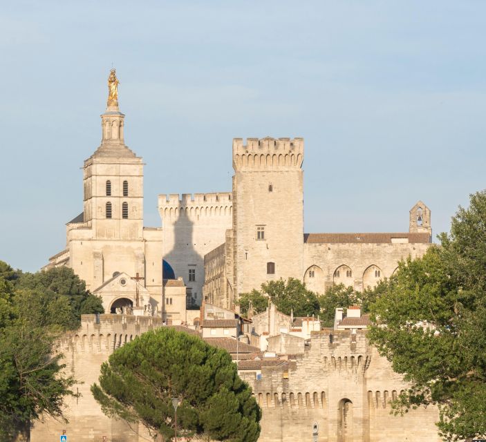 Avignon: City Walking Tour with Popes Palace Entry - Who should book it?