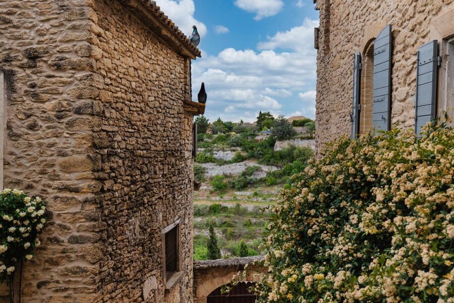 Avignon: Full-Day Châteauneuf du Pape Wines & Luberon Tour - A full day linking wine country and Luberon villages