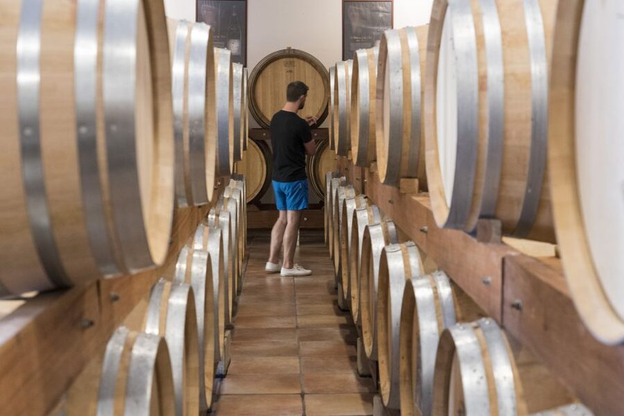 Avignon: Full-Day Châteauneuf du Pape Wines & Luberon Tour - Gordes, the hilltop finale