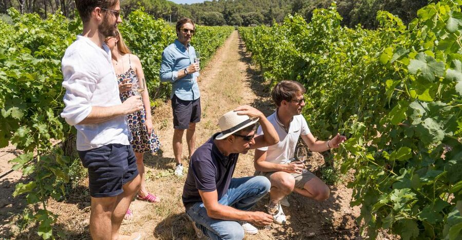 Avignon: Full-Day Châteauneuf du Pape Wines & Luberon Tour - Is $199 a fair price?