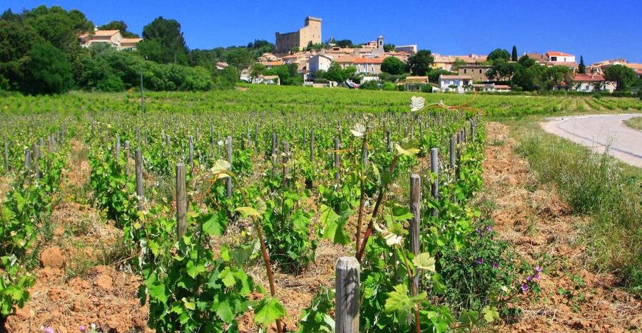 Avignon: Full-Day Wine Tour around Châteauneuf-du-Pape - Leaving Avignon for the Rhône vineyards