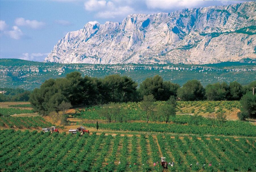 Avignon: Full-Day Wine Tour around Châteauneuf-du-Pape - Comparing Séguret, Gigondas, and Vacqueyras