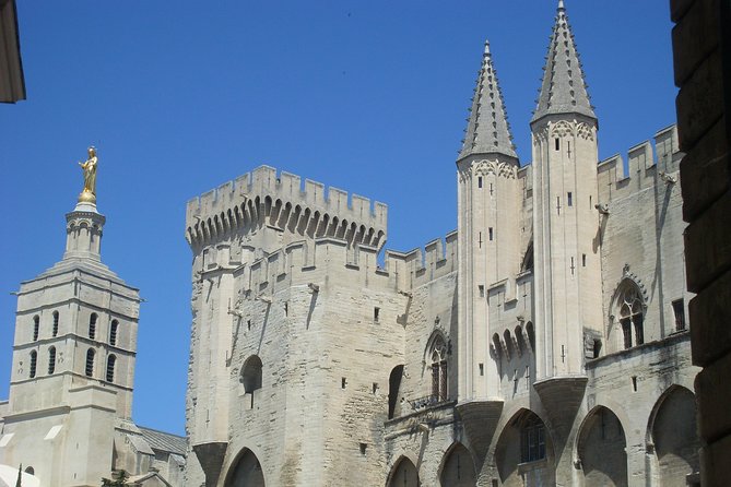 Avignon Walking Tour including Pope's Palace - Who will enjoy this Avignon walking tour?