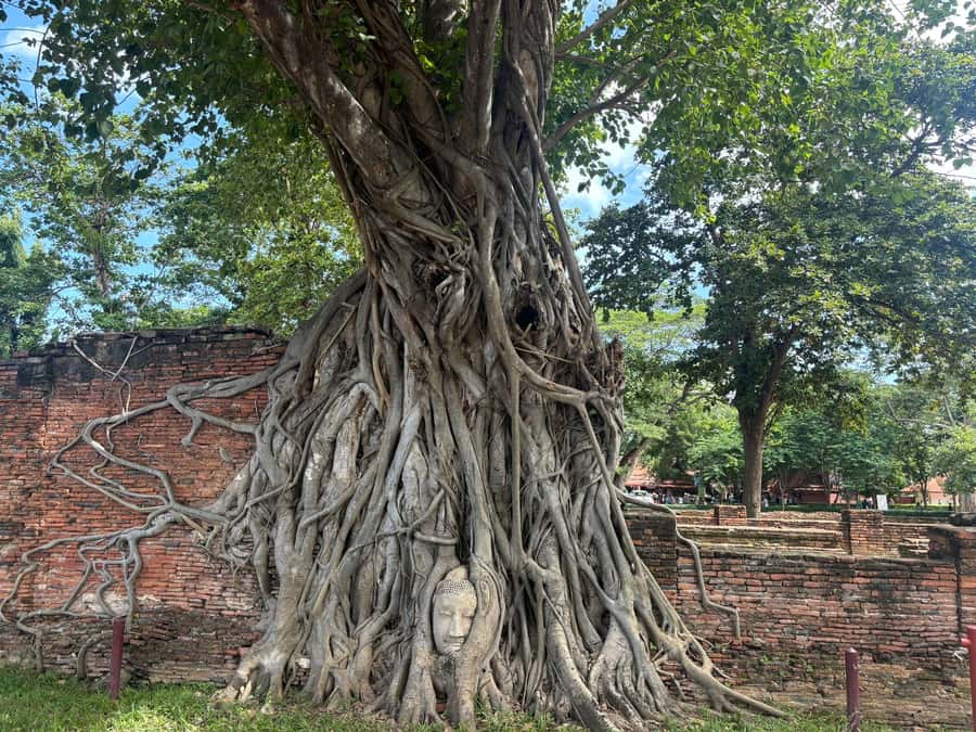 Ayutthaya Full-Day Tour with Bang Pa In (Summer Palace) - Returning to Bangkok after a full day