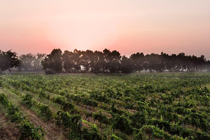 Baalback , Anjar & Chateau Ksara - Timing, lunch, and small details that matter