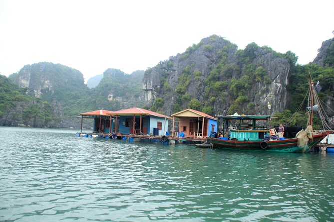Bai Tu Long boutique & budget cruise 2D: Kayaking, swimming at pristine palaces - Returning to Hanoi after lunch
