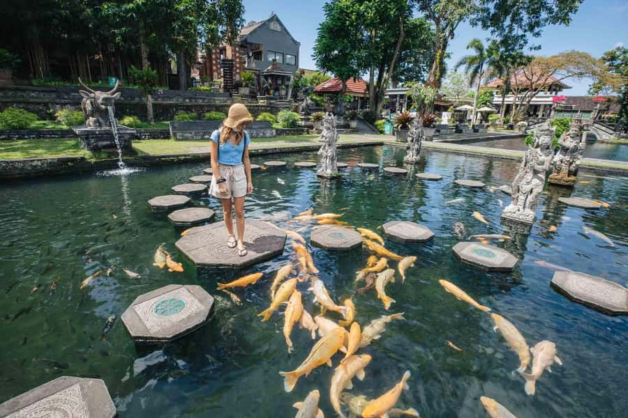 Bali: Gate Of Heaven and Water Palace Tirta Gangga Package - Tirta Ganggas Royal Water Gardens