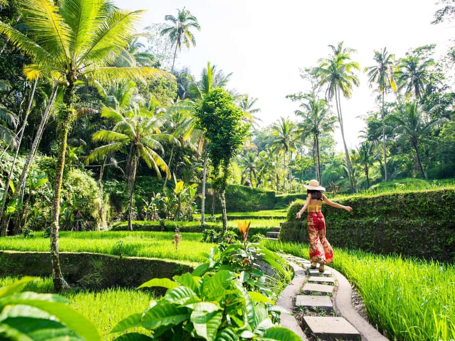 Bali: Lempuyang Temple, Water Palace, and Waterfall Tour. - Why this East Bali route works