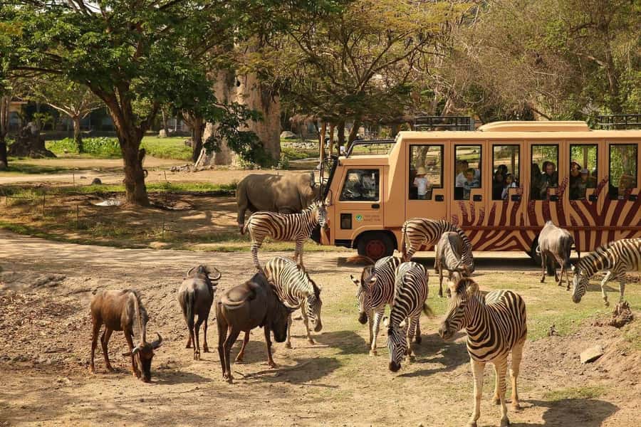 Bali: Safari Zoo and Ubud Palace and Market Day Tour - Three hours among Bali’s large animals