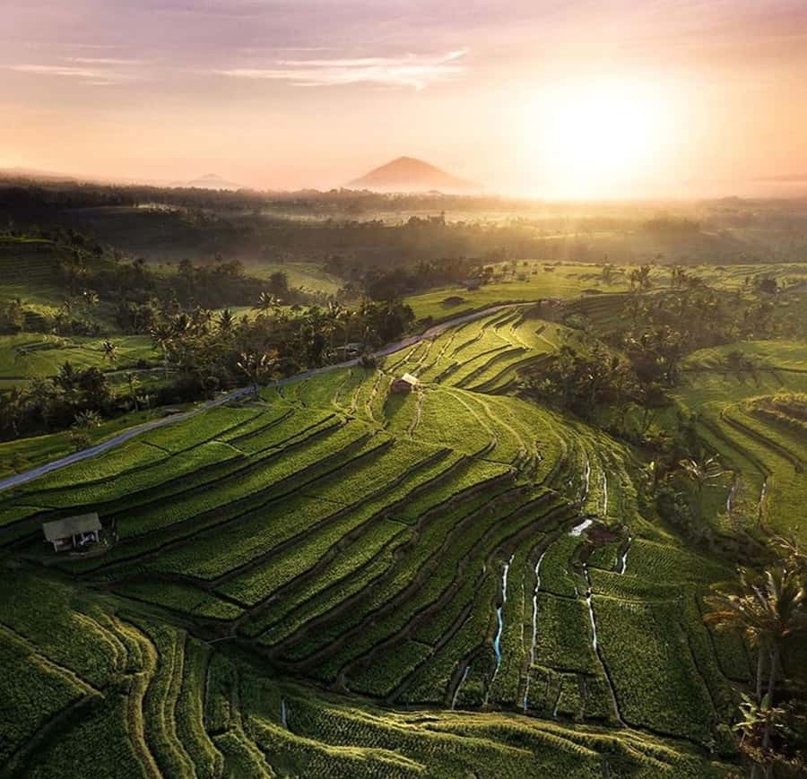 Bali: Trip to Tirta Gangga Palace and Tukad Cepung Waterfall - Lunch is flexible, but not included