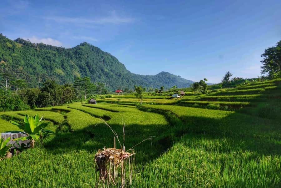 Bali: Ujung Water Palace, Candidasa and Sidemen Village Tour - Key points to know before booking
