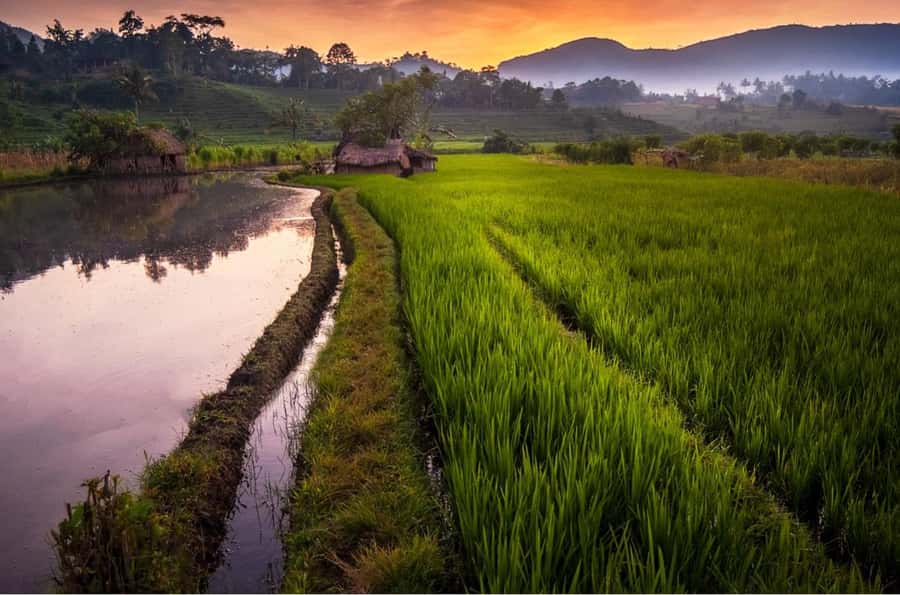 Bali: Ujung Water Palace, Candidasa and Sidemen Village Tour - Guides, driving, and the value of local help