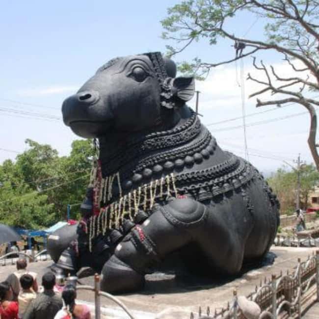 Bangalore City Tour: Lalbagh, Tipu Palace & Bull Temple - What the private format feels like