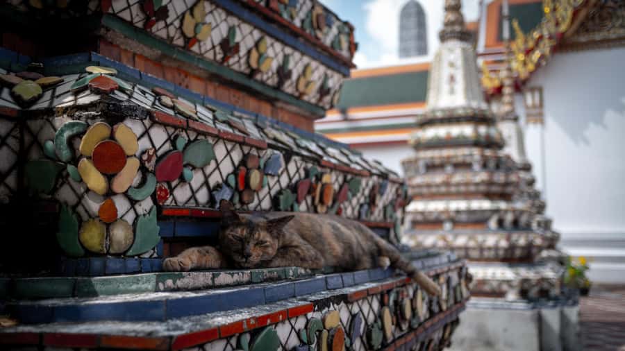Bangkok: Grand Palace, Wat Pho and Wat Arun - Who should choose this Bangkok tour